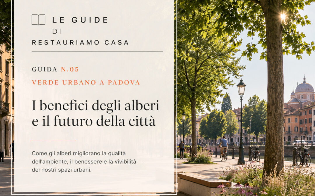 Verde urbano a Padova: come gli alberi migliorano la qualità della città