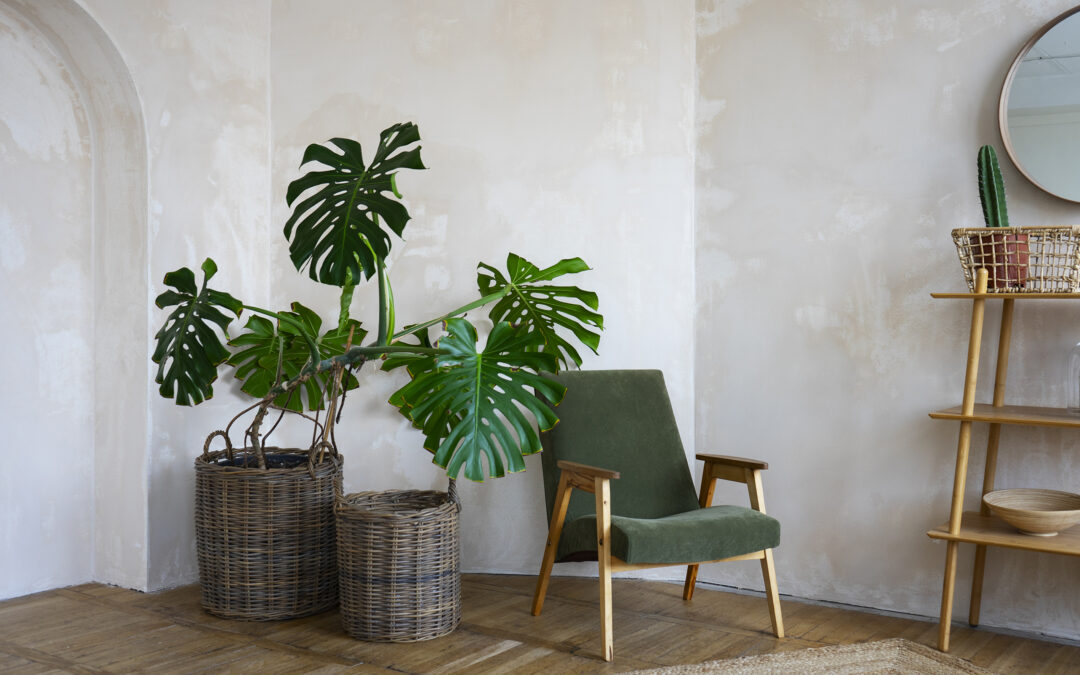 L’Architettura come Cura per mente e corpo